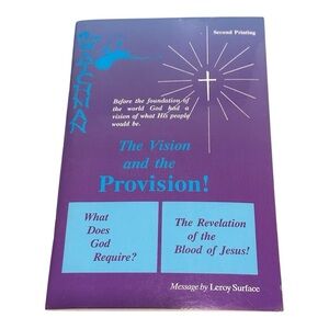 The Vision And The Provision! Leroy Surface Paperback